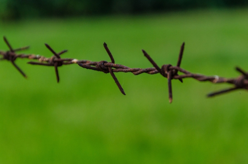 Living Awake: Surviving Stressful Times