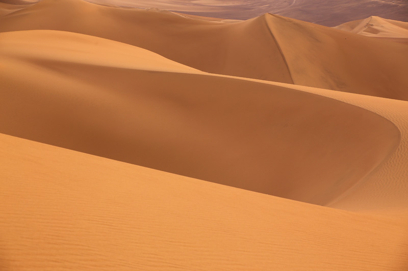 A Trackless Path I