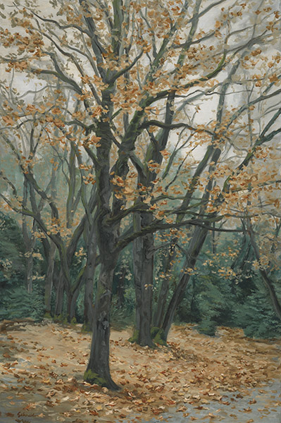 Autumn trees with orange leaves and fallen leaves covering the ground